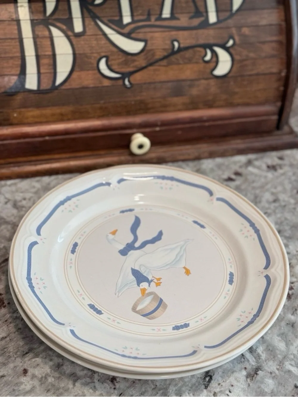 Newcor Stoneware Countryside Goose plates, set of 2 | Country Goose cottage core